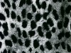 Гепард белый - пленка для аквапечати (шир. 50см)