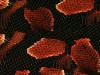 Предатор красный - пленка для аквапечати (шир. 50см)